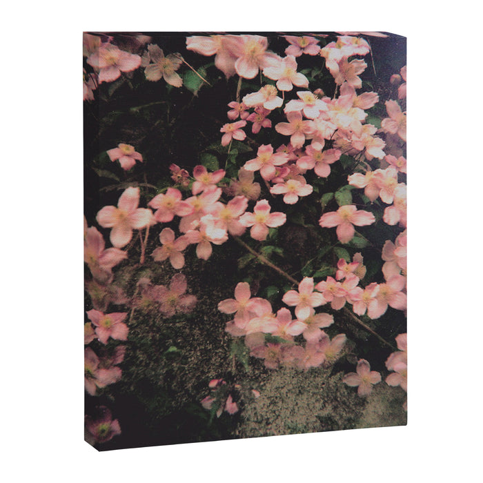 She Hangs Brightly Canvas Print Gallery Image 1