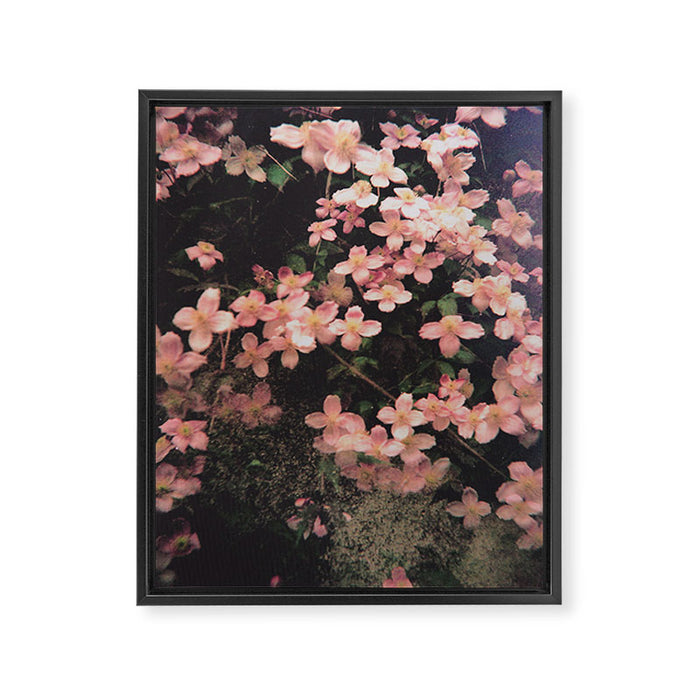 She Hangs Brightly Framed Canvas Print Gallery Image 1