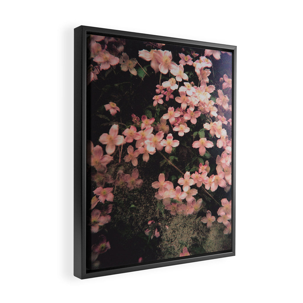She Hangs Brightly Framed Canvas Print Gallery Image 2