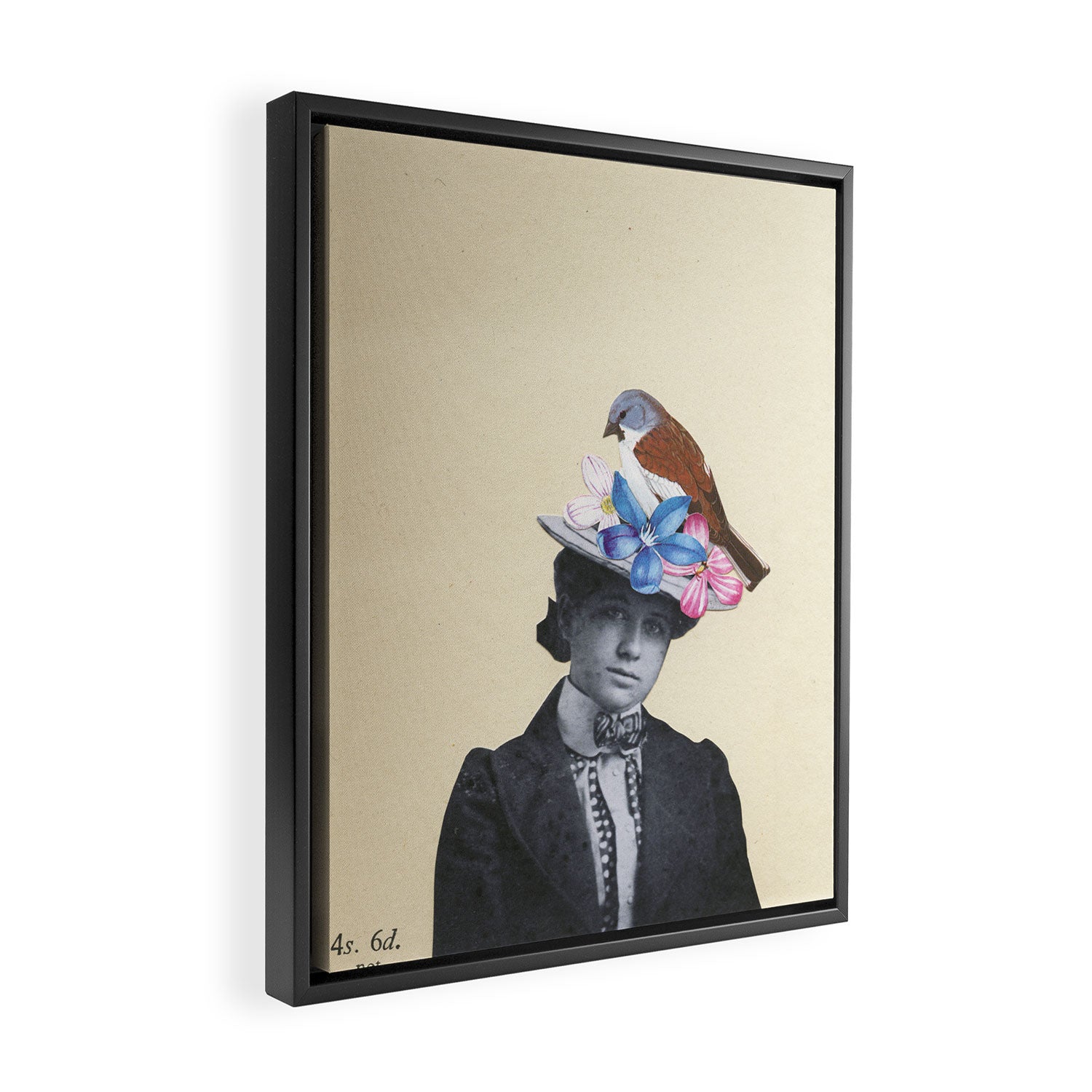 Snow Finch Framed Canvas Print Gallery Image 2