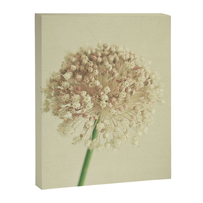 Sphere Canvas Print Gallery Image 1