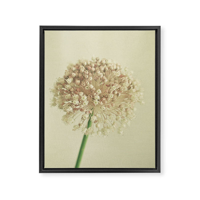 Sphere Framed Canvas Print Gallery Image 1