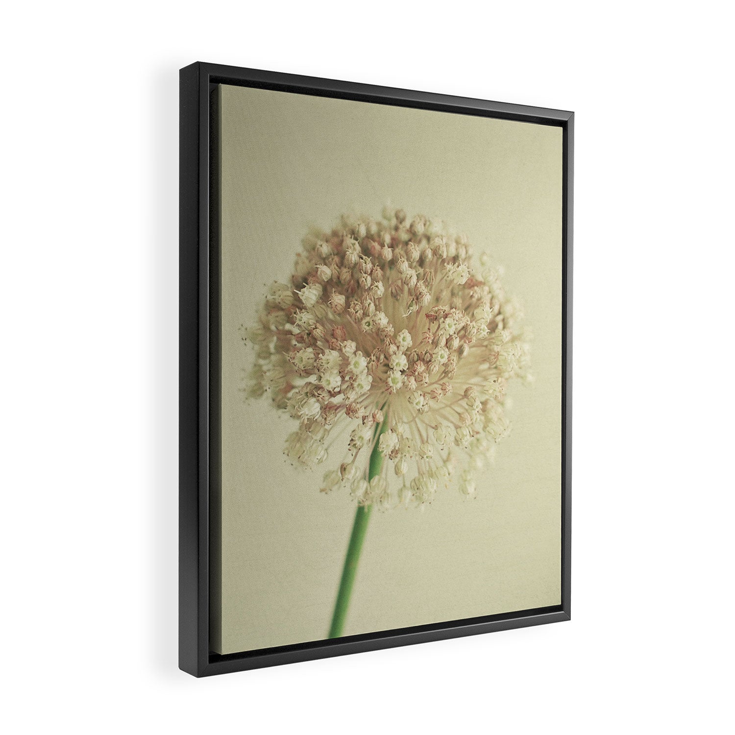 Sphere Framed Canvas Print Gallery Image 2