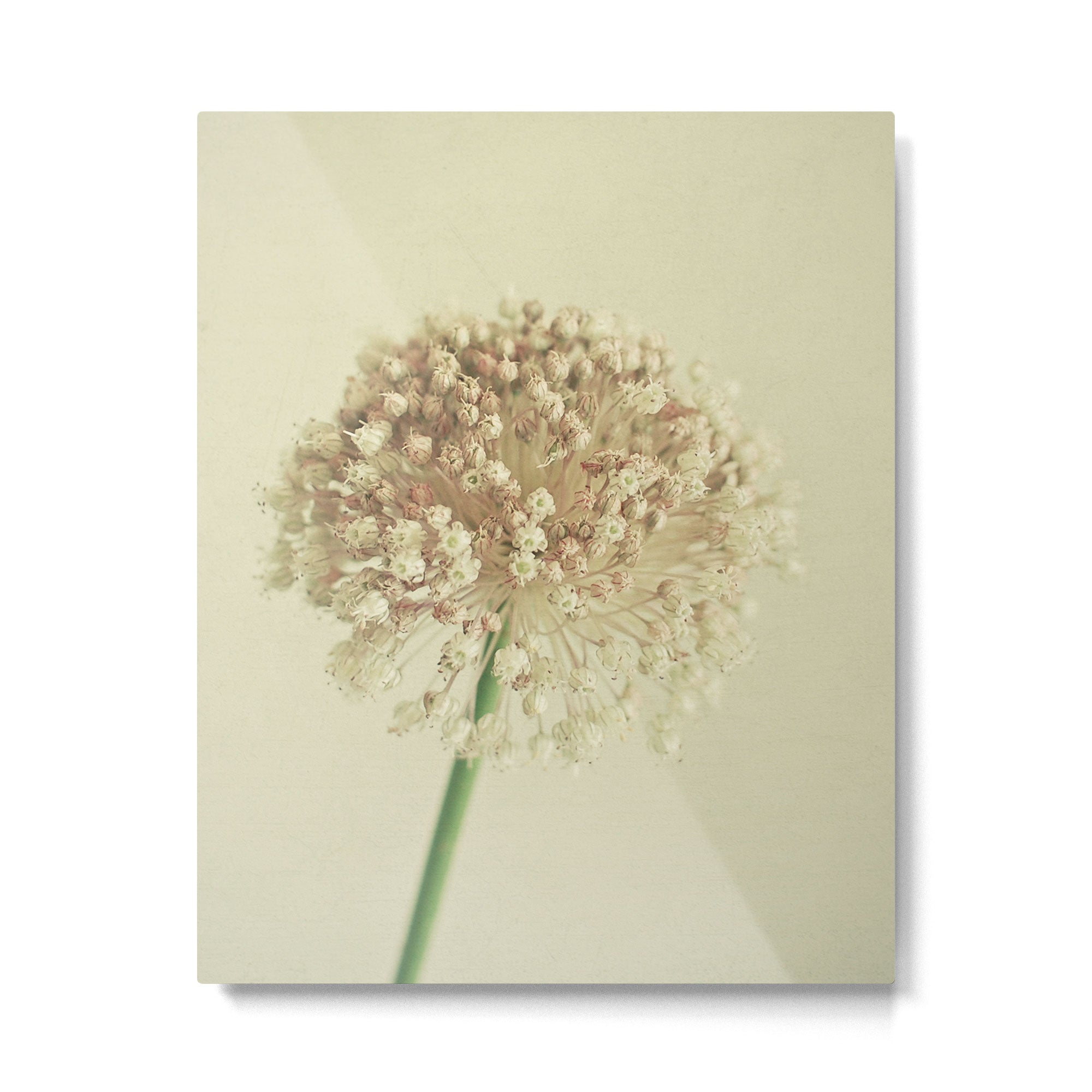 Sphere Metal Print Gallery Image 6