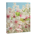 Spring Blossom Canvas Print Gallery Image 8