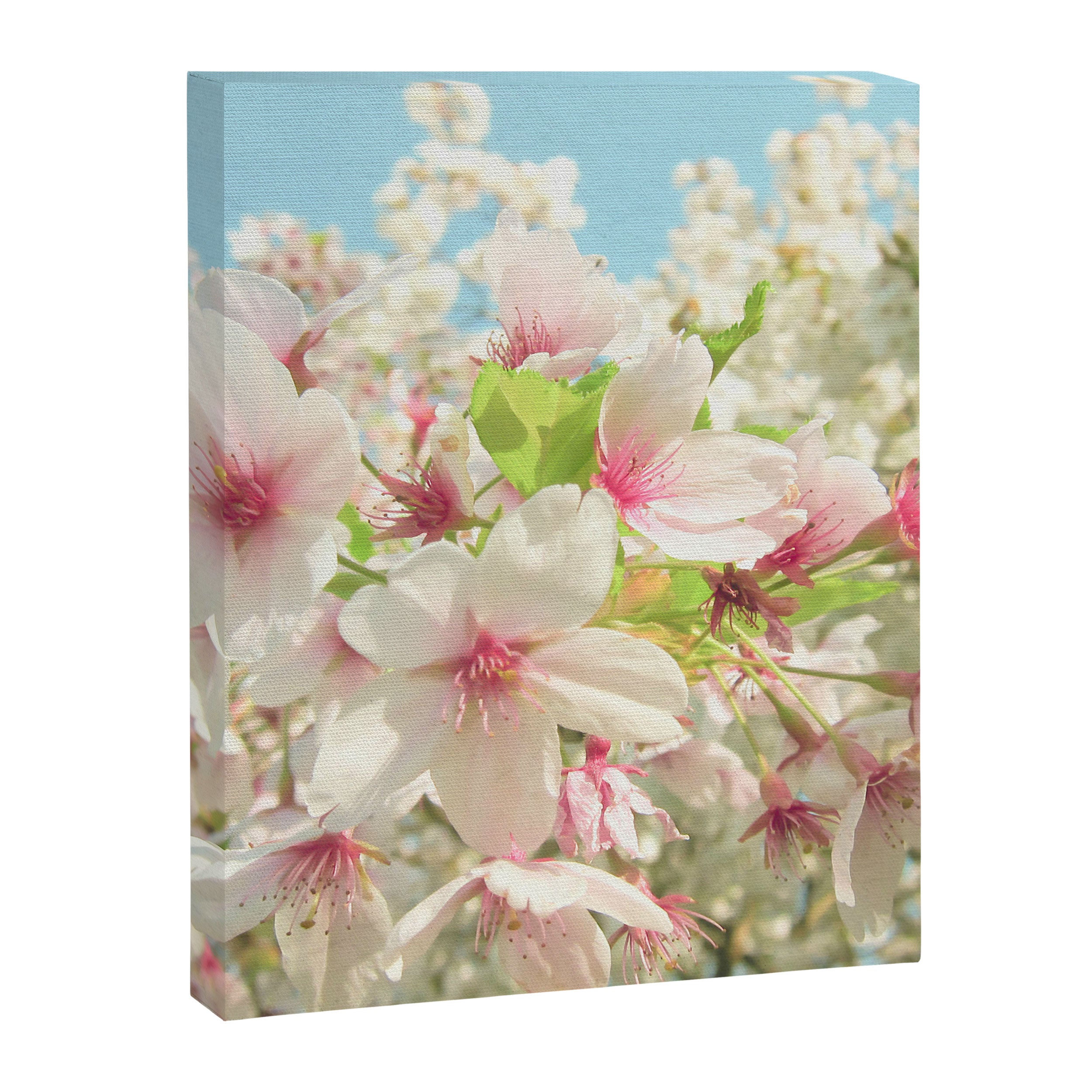 Spring Blossom Canvas Print Gallery Image 8