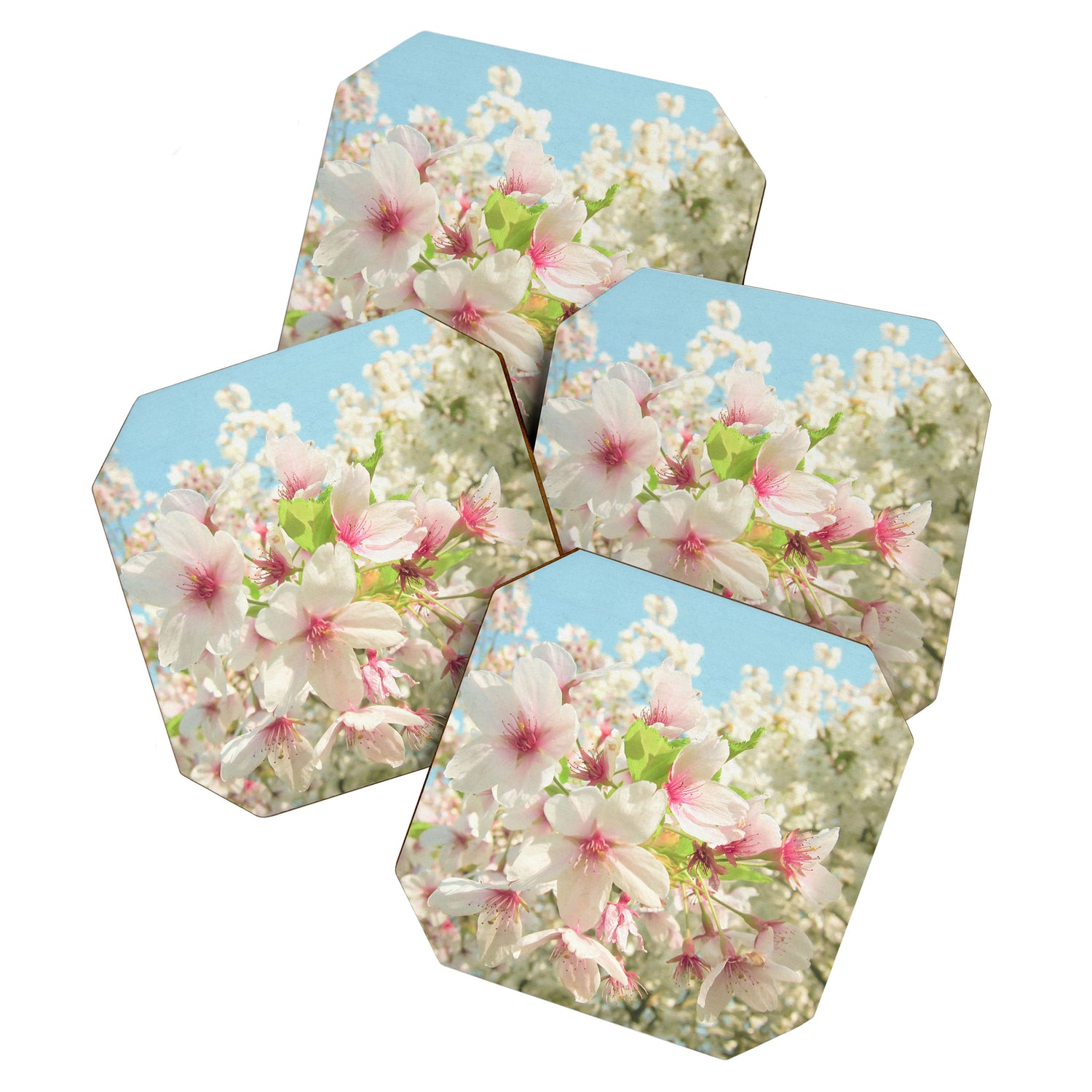 Spring Blossom Coaster Gallery Image 1