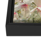 Spring Blossom Framed Canvas Print Gallery Image 3