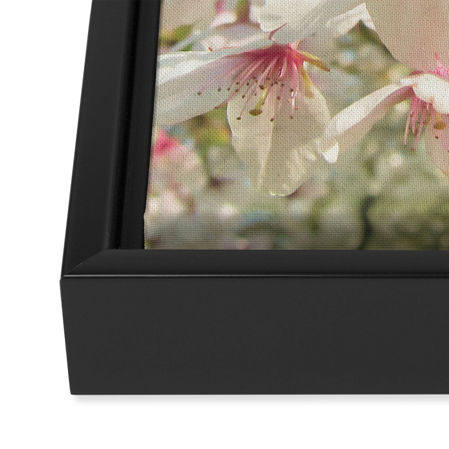 Spring Blossom Framed Canvas Print Gallery Image 3