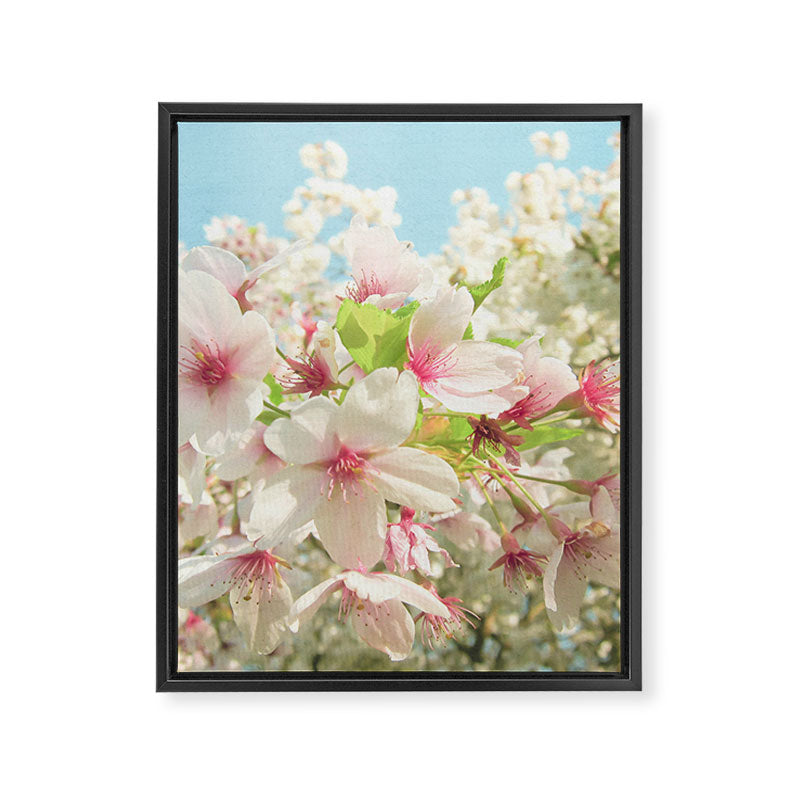 Spring Blossom Framed Canvas Print Gallery Image 8
