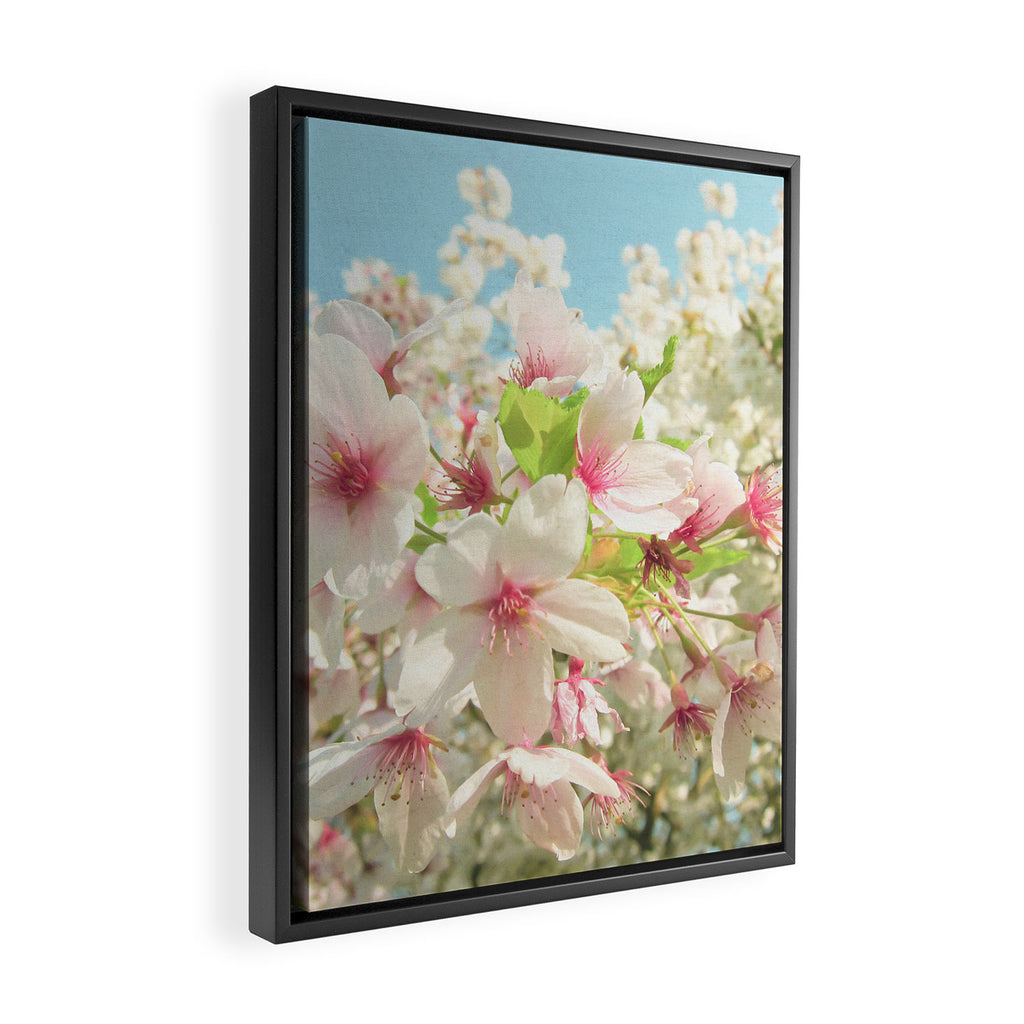 Spring Blossom Framed Canvas Print Gallery Image 2