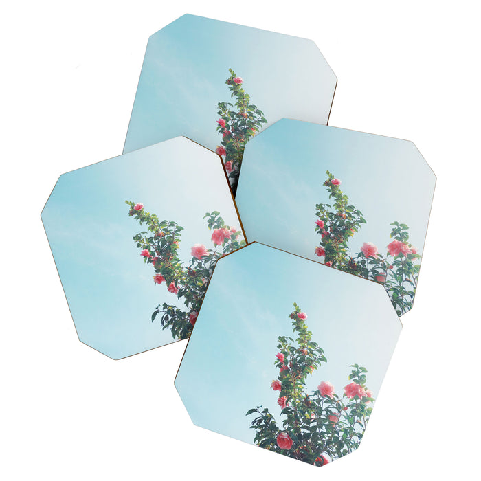 Spring Garden Coaster Gallery Image 1