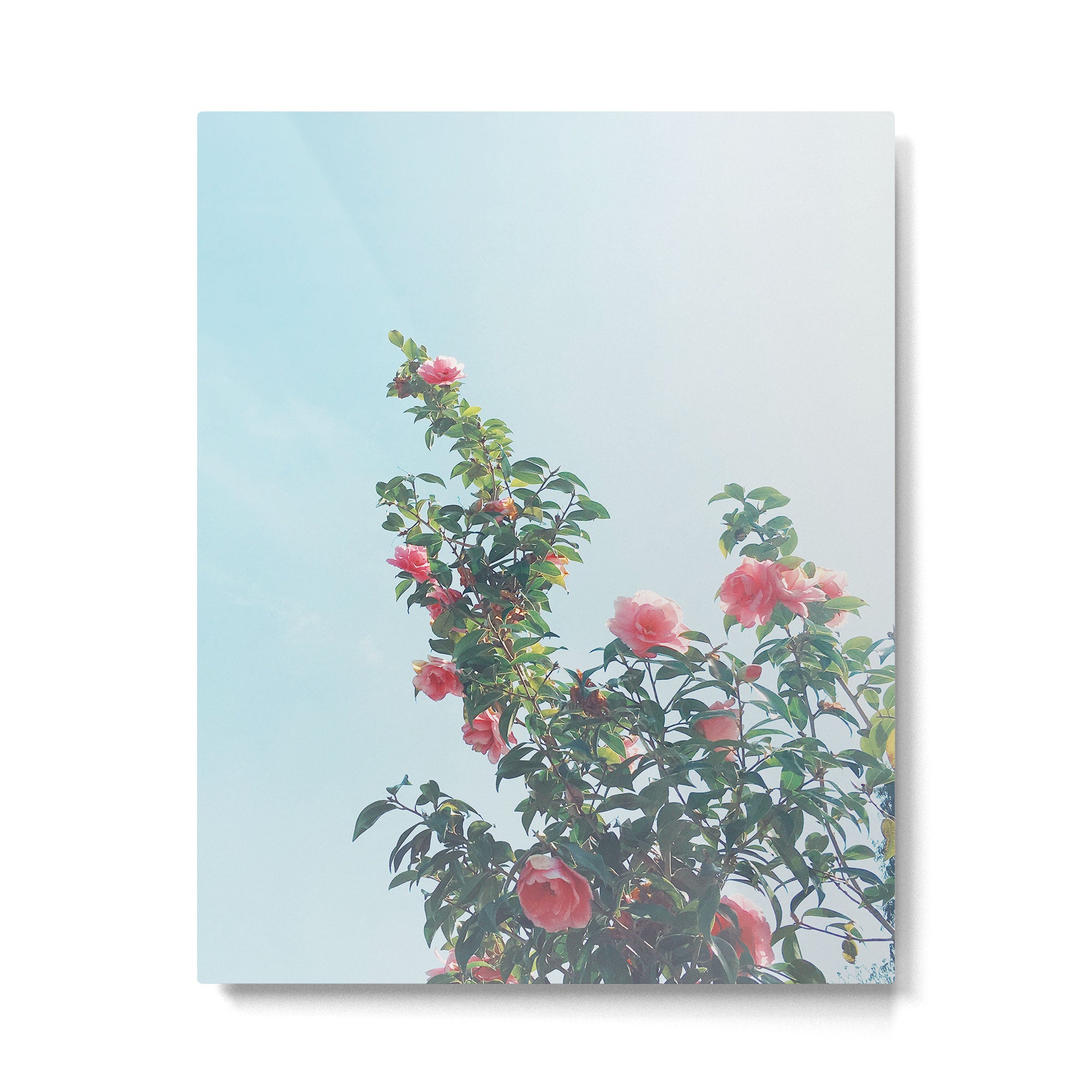 Spring Garden Metal Print Gallery Image 6