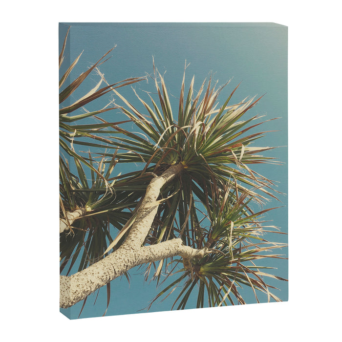 Spring Palm Canvas Print Gallery Image 1