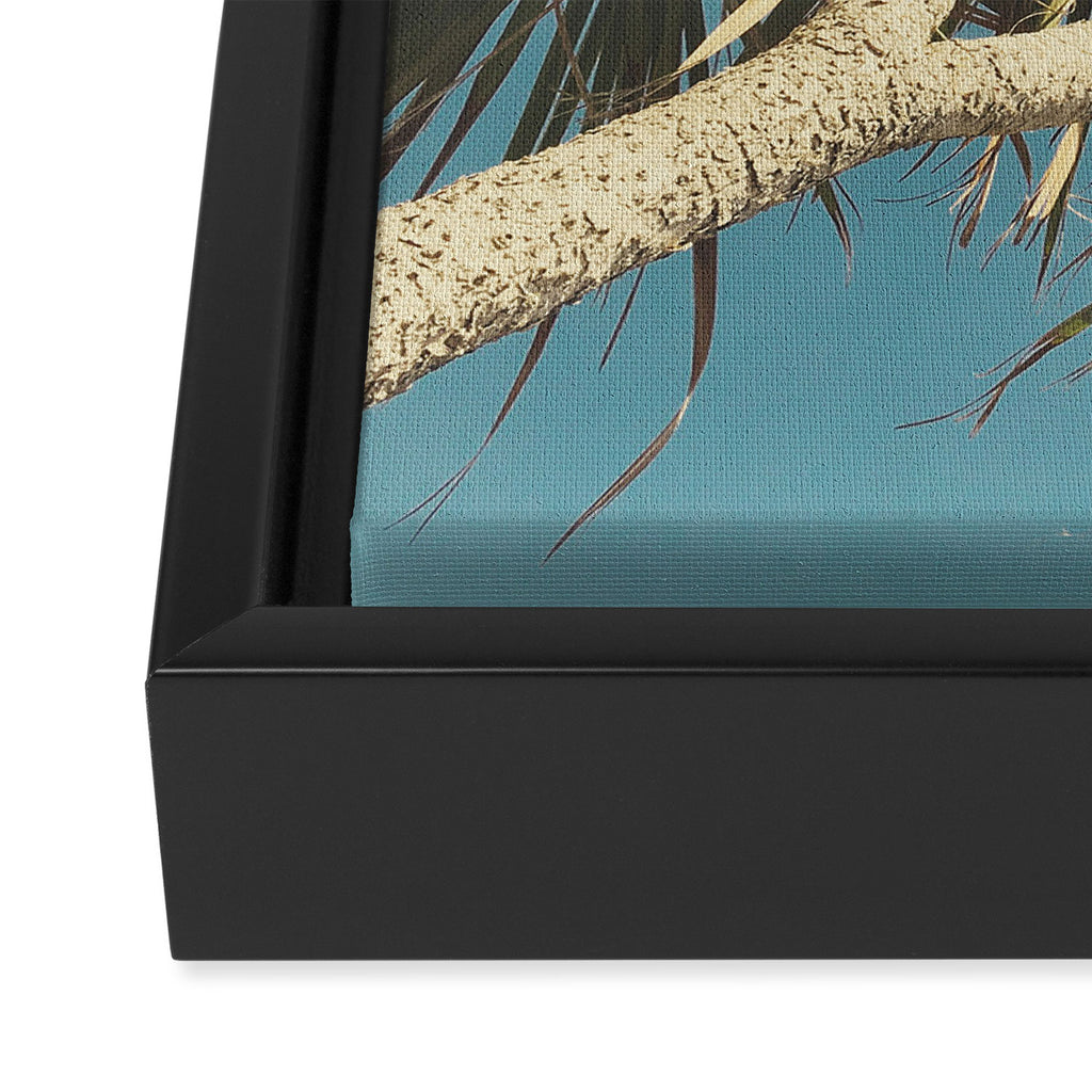 Spring Palm Framed Canvas Print Gallery Image 3