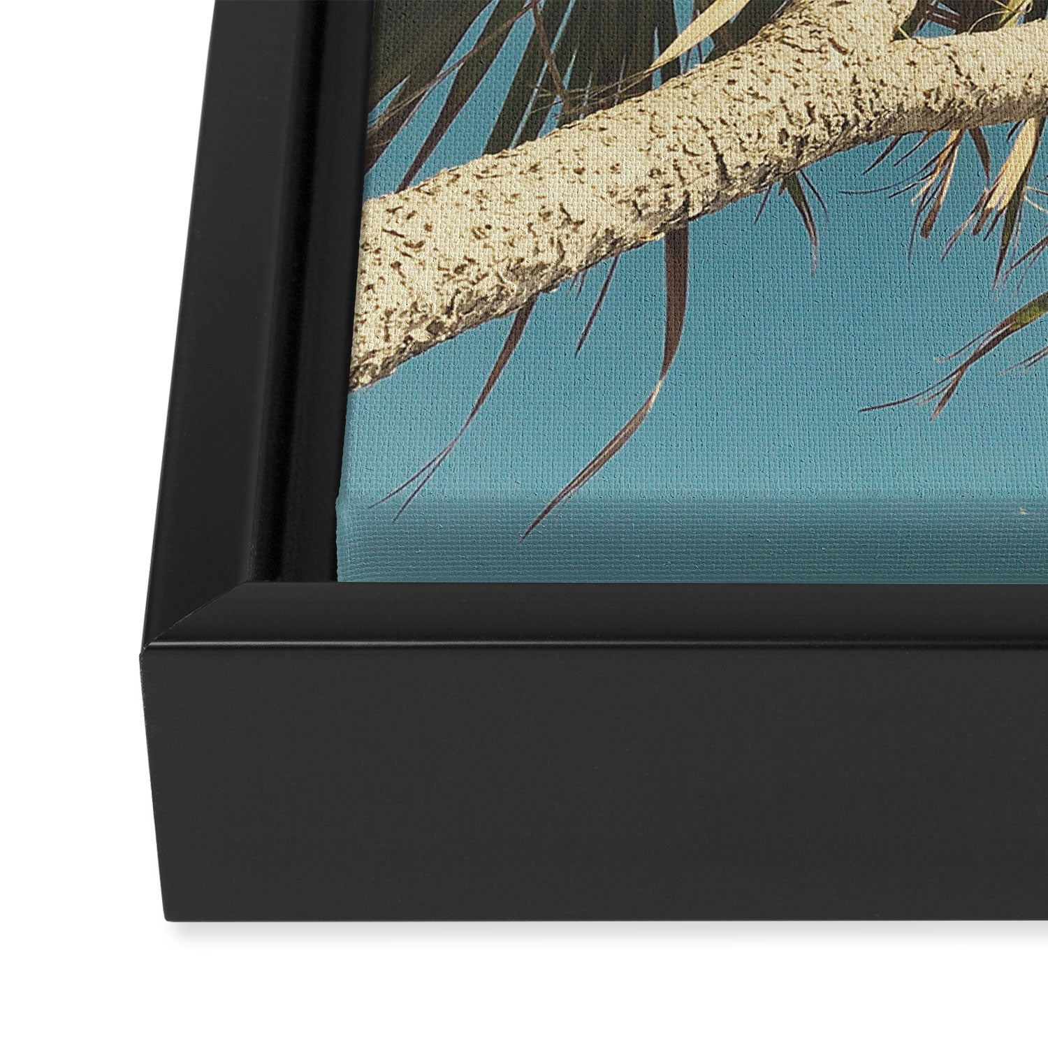 Spring Palm Framed Canvas Print Gallery Image 3