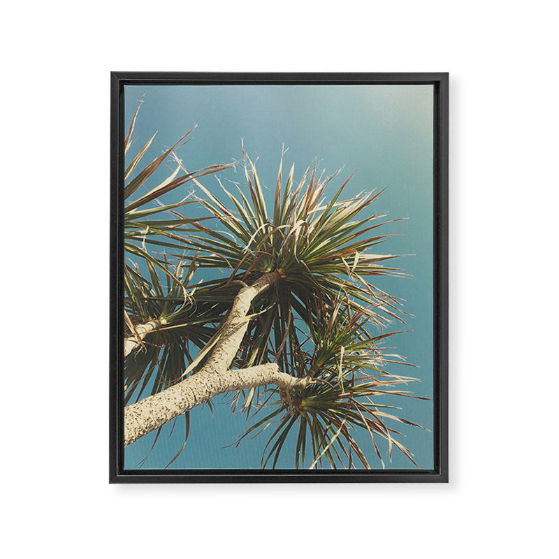 Spring Palm Framed Canvas Print Gallery Image 8