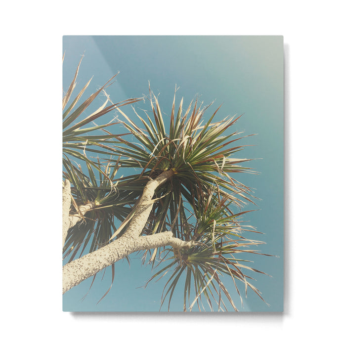 Spring Palm Metal Print Gallery Image 1