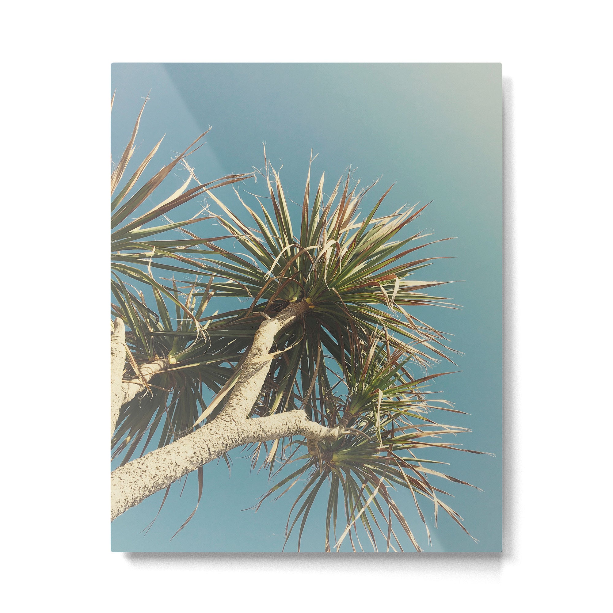Spring Palm Metal Print Gallery Image 6