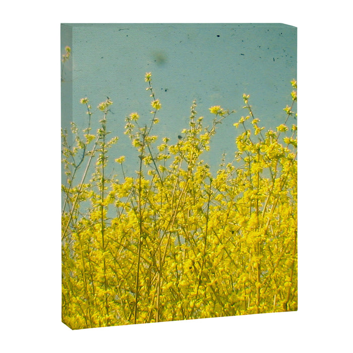 Summer Canvas Print Gallery Image 1
