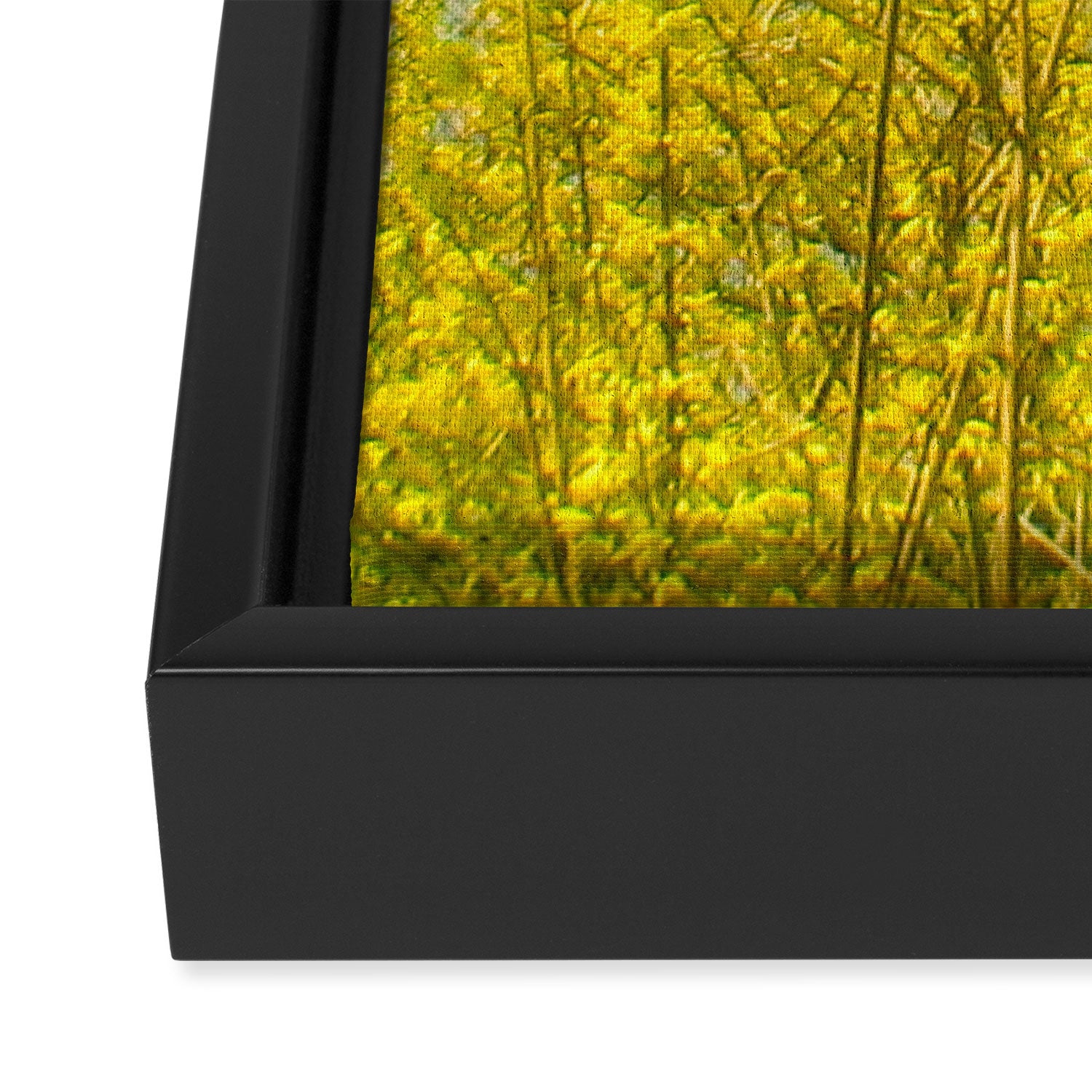 Summer Framed Canvas Print Gallery Image 3