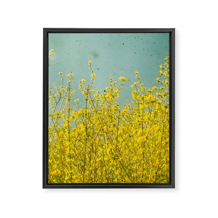 Summer Framed Canvas Print Gallery Image 1