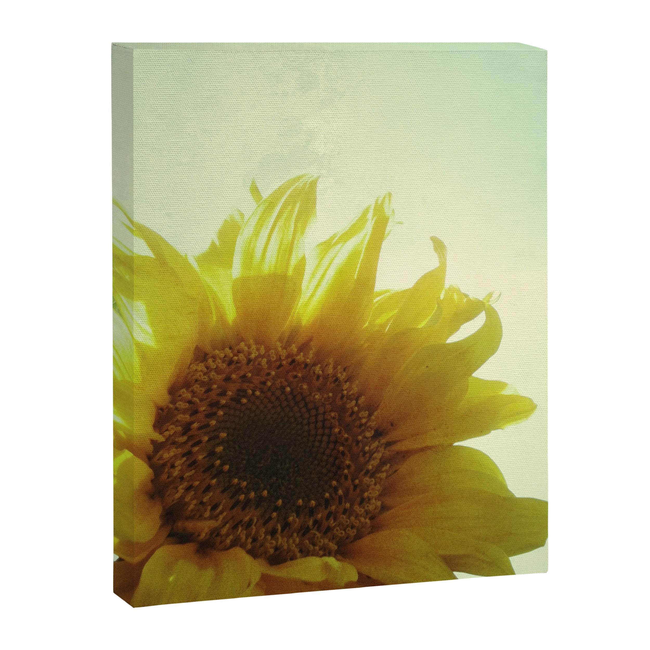Sunflower Canvas Print Gallery Image 8