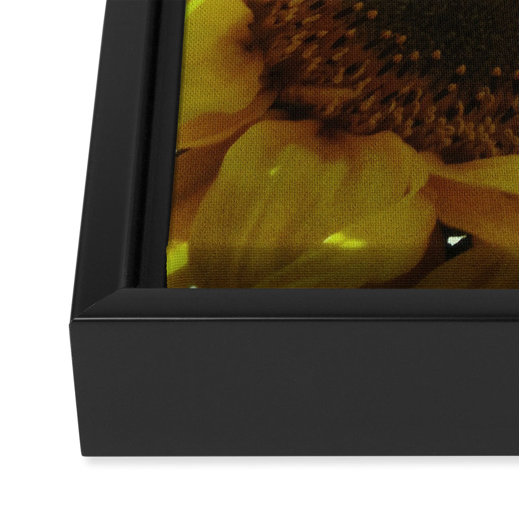 Sunflower Framed Canvas Print Gallery Image 3