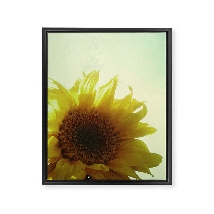 Sunflower Framed Canvas Print Gallery Image 1