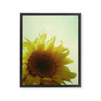 Sunflower Framed Canvas Print Gallery Image 8