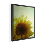 Sunflower Framed Canvas Print Gallery Image 2