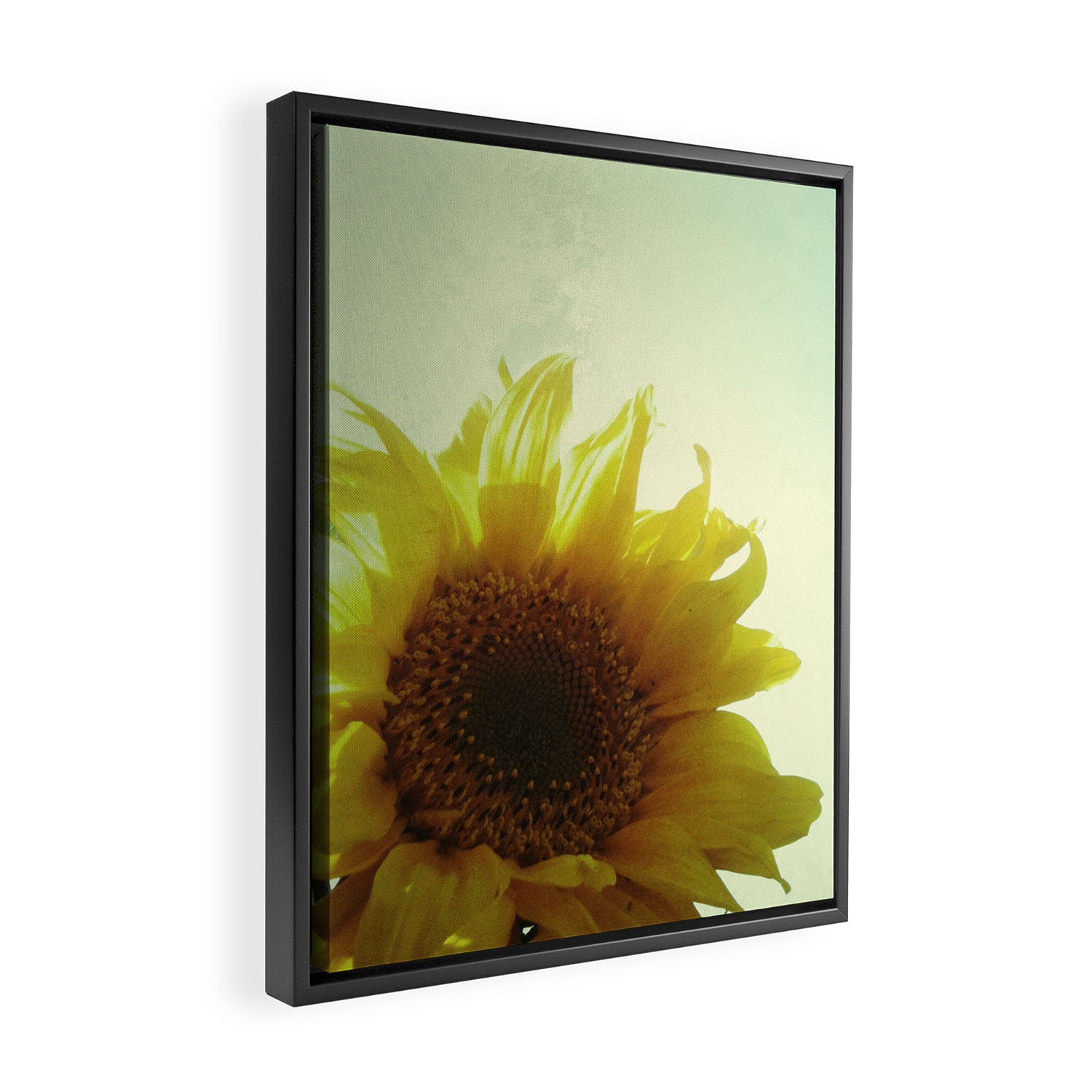 Sunflower Framed Canvas Print Gallery Image 2
