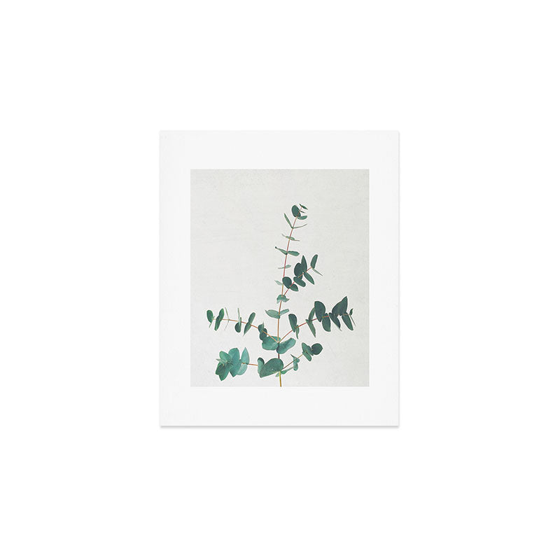 Eucalyptus Art Print Gallery Image 1
