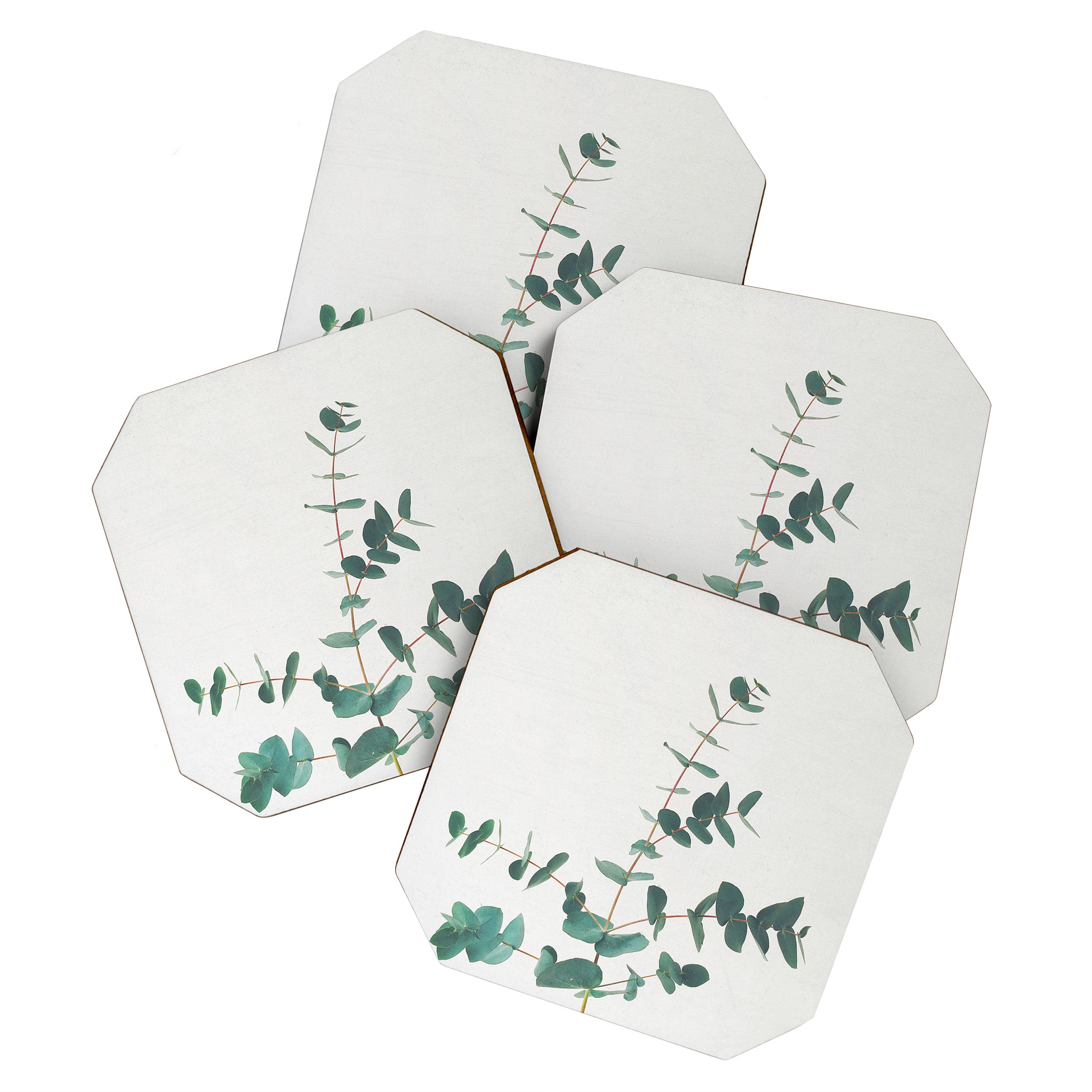 Eucalyptus Coaster Gallery Image 1
