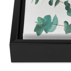 Eucalyptus Framed Canvas Print Gallery Image 3