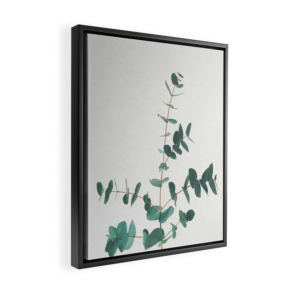 Eucalyptus Framed Canvas Print Gallery Image 2