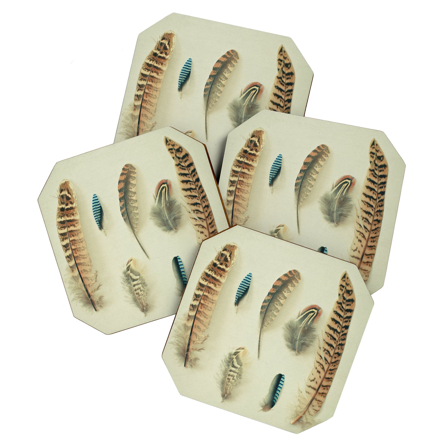 The Feather Collection Coaster Gallery Image 1