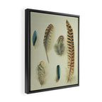 The Feather Collection Framed Canvas Print Gallery Image 2