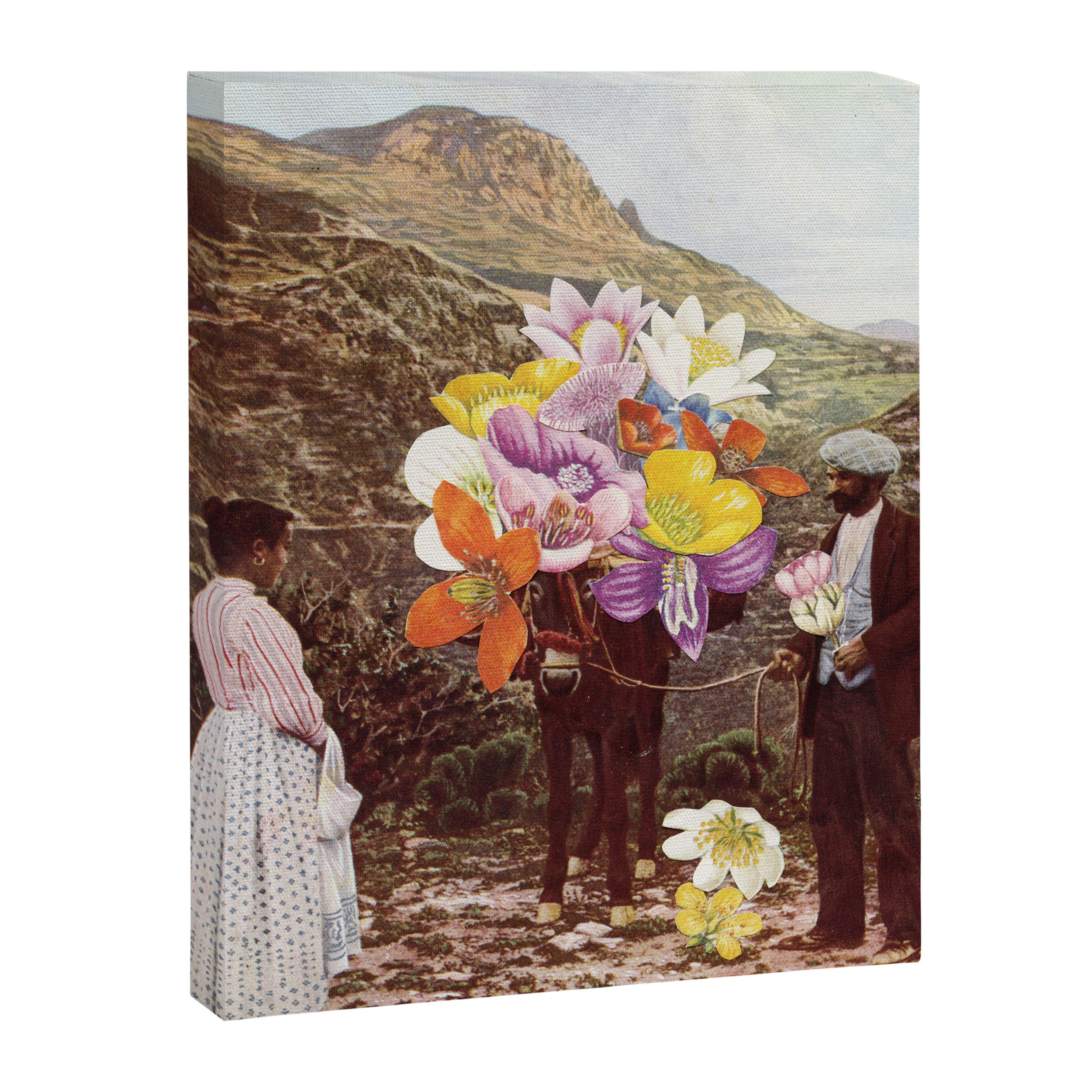 The Suitor Canvas Print Gallery Image 6