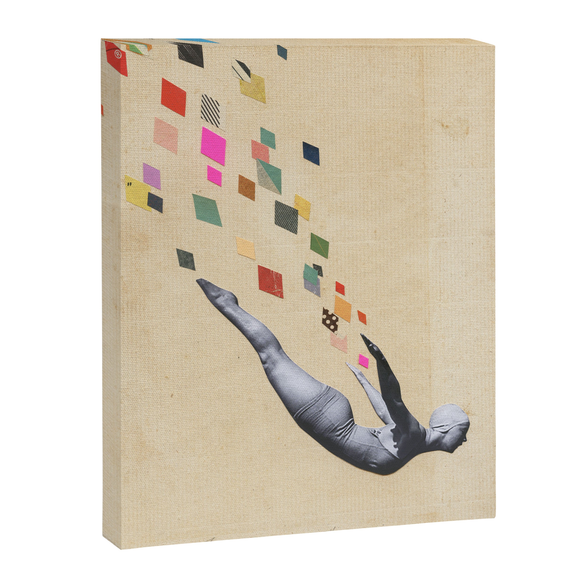 The Swan Canvas Print Gallery Image 6