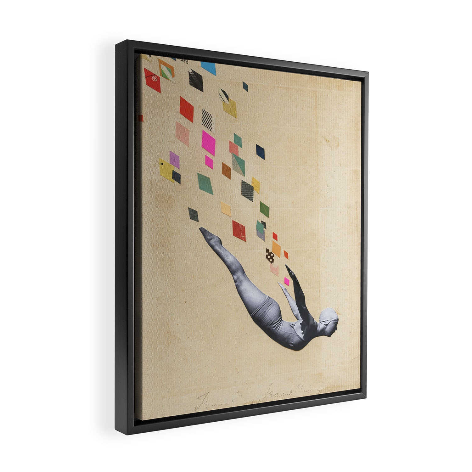 The Swan Framed Canvas Print Gallery Image 2