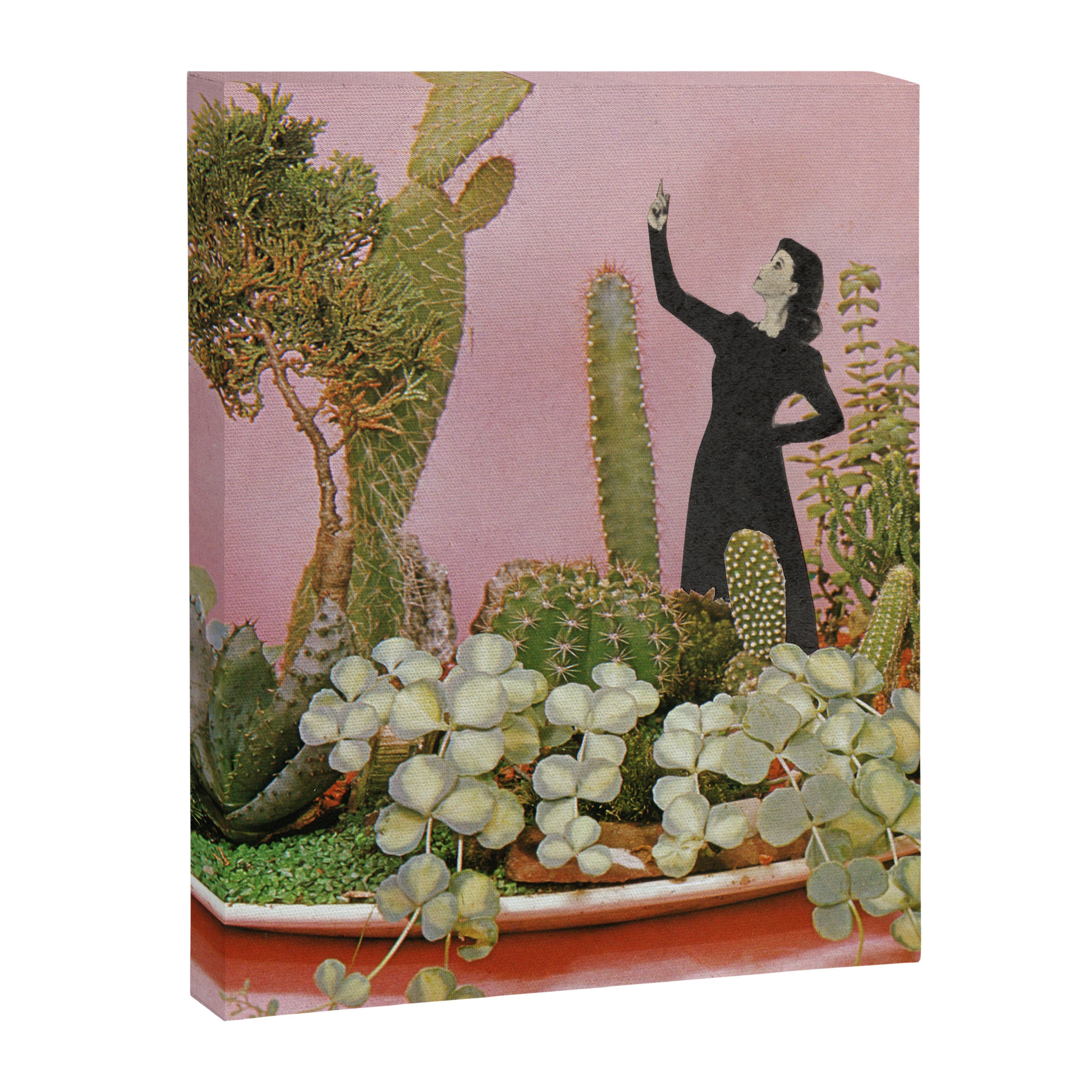 The Wonders of Cactus Island Canvas Print Gallery Image 8