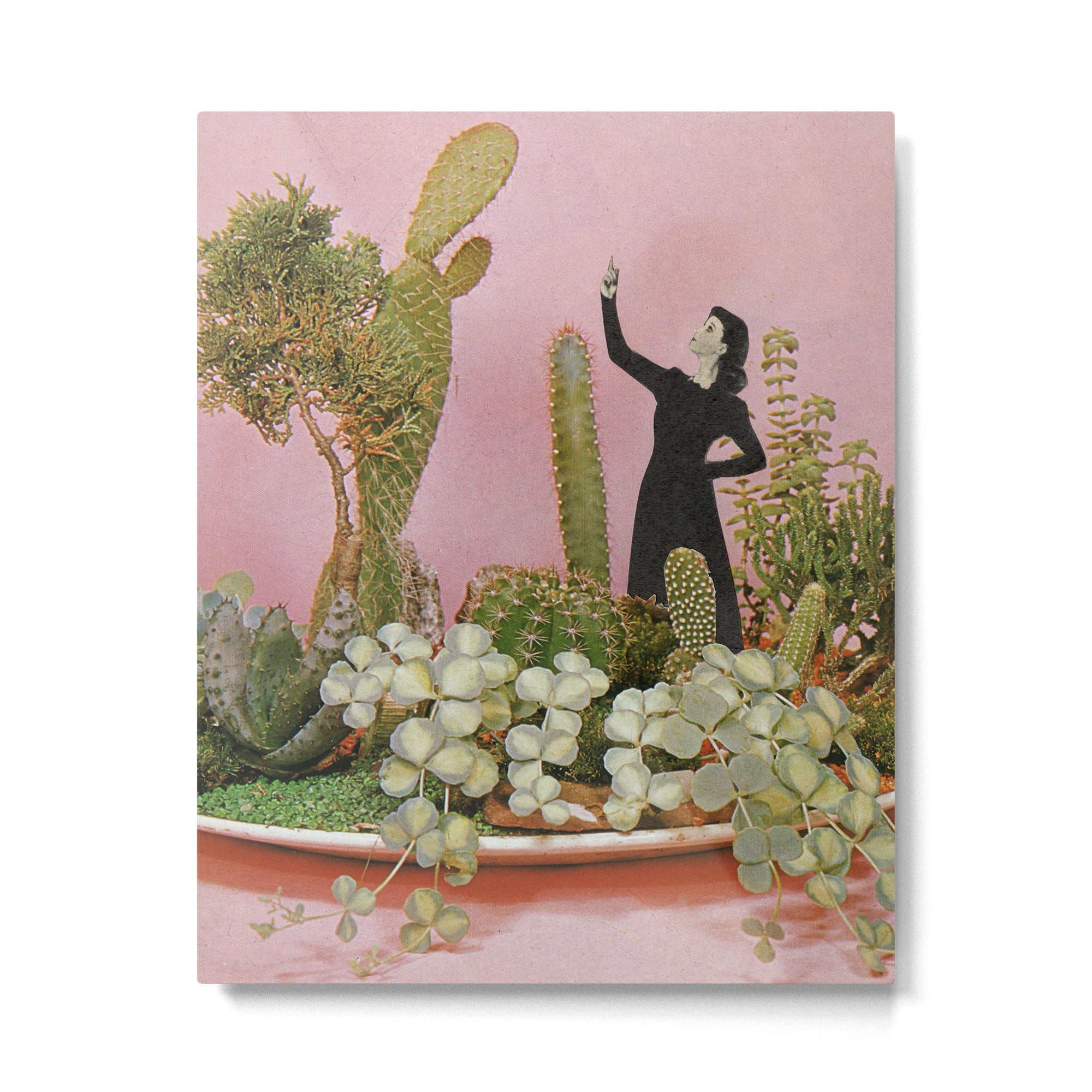 The Wonders of Cactus Island Metal Print Gallery Image 6