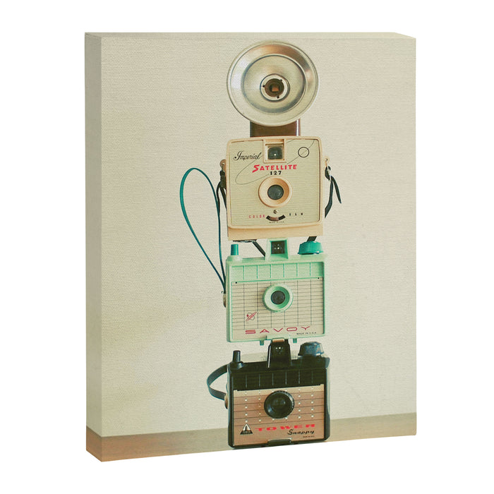 Tower of Cameras Canvas Print Gallery Image 1