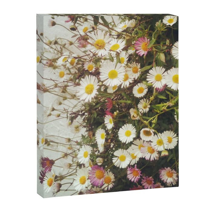 Wall of Daisies Canvas Print Gallery Image 1