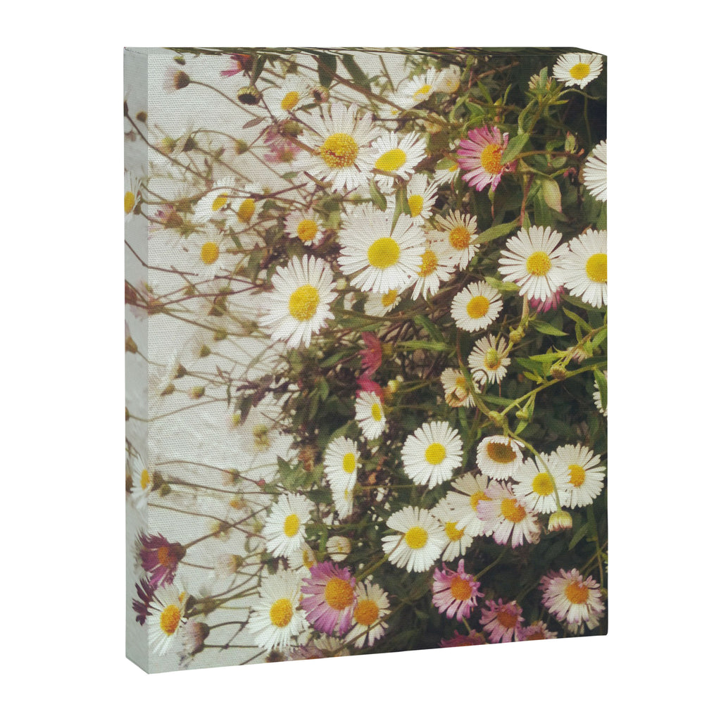 Wall of Daisies Canvas Print Gallery Image 8