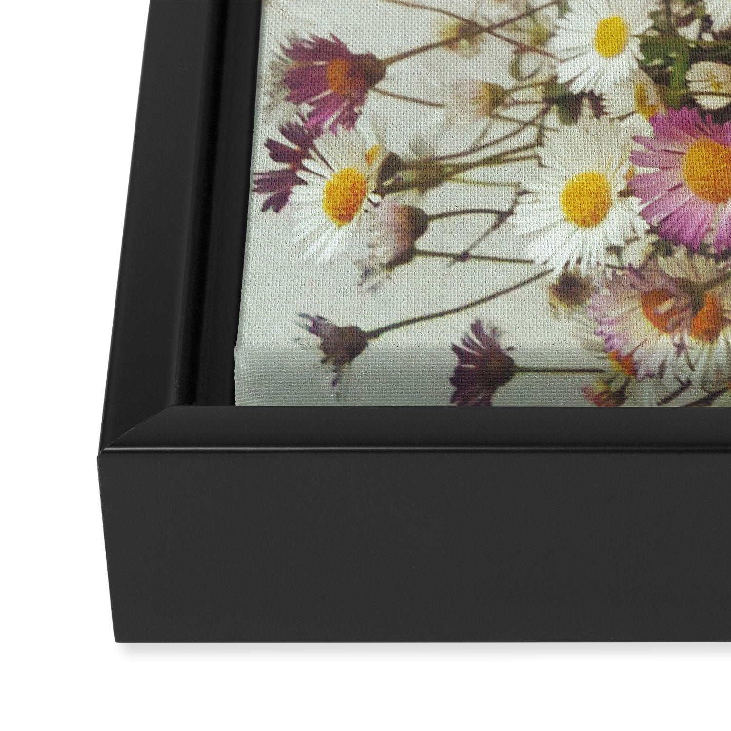Wall of Daisies Framed Canvas Print Gallery Image 3