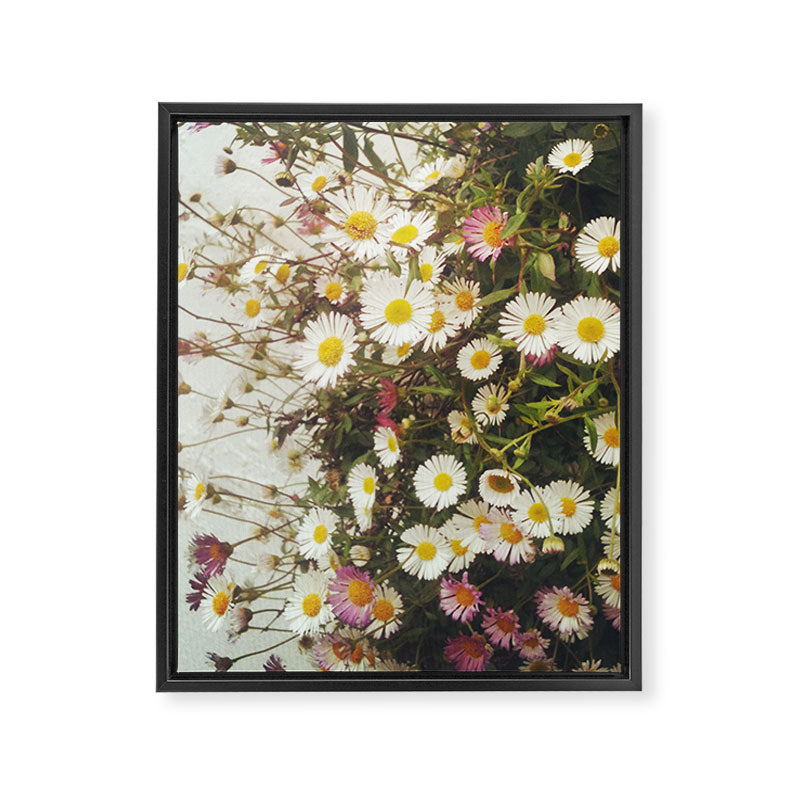 Wall of Daisies Framed Canvas Print Gallery Image 8