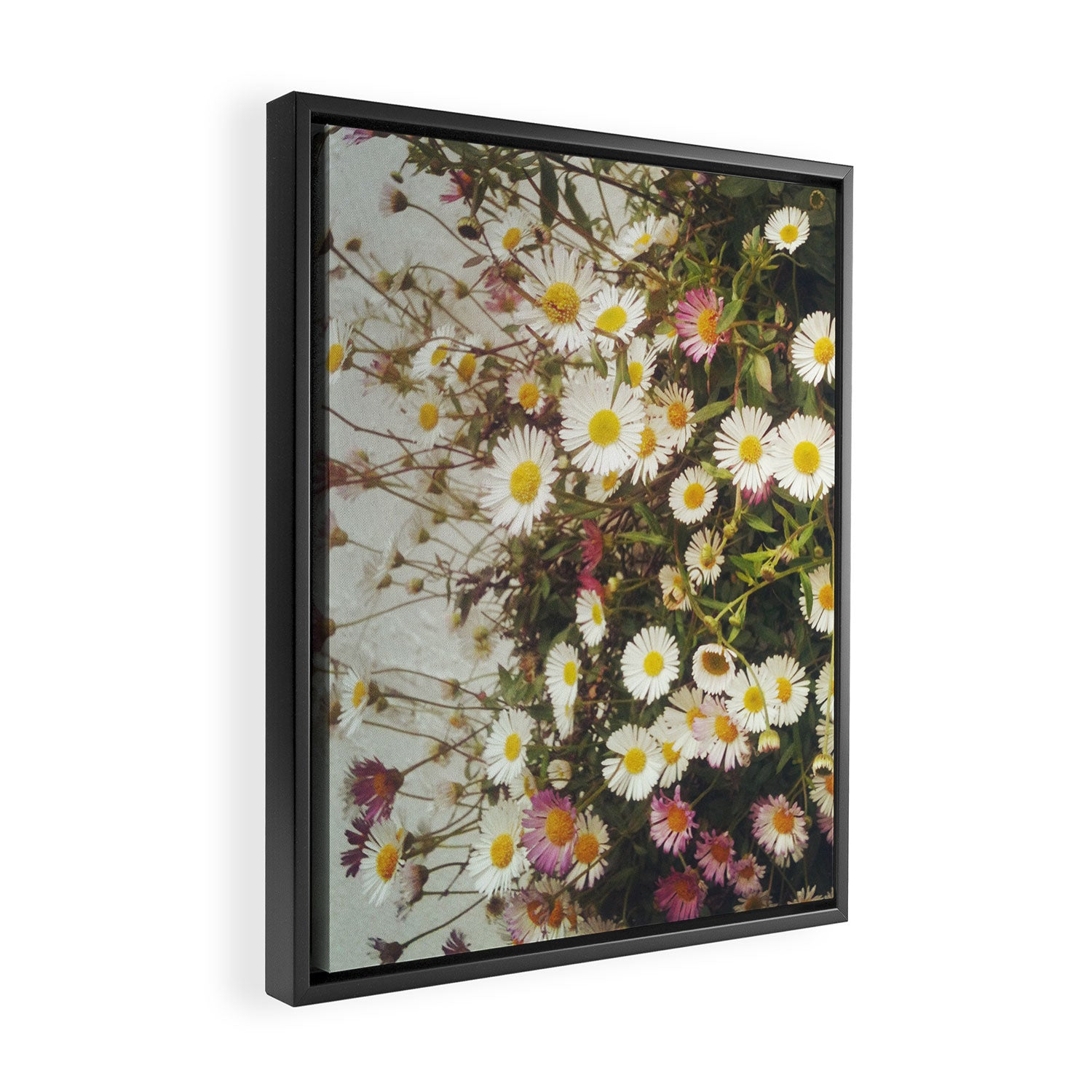 Wall of Daisies Framed Canvas Print Gallery Image 2