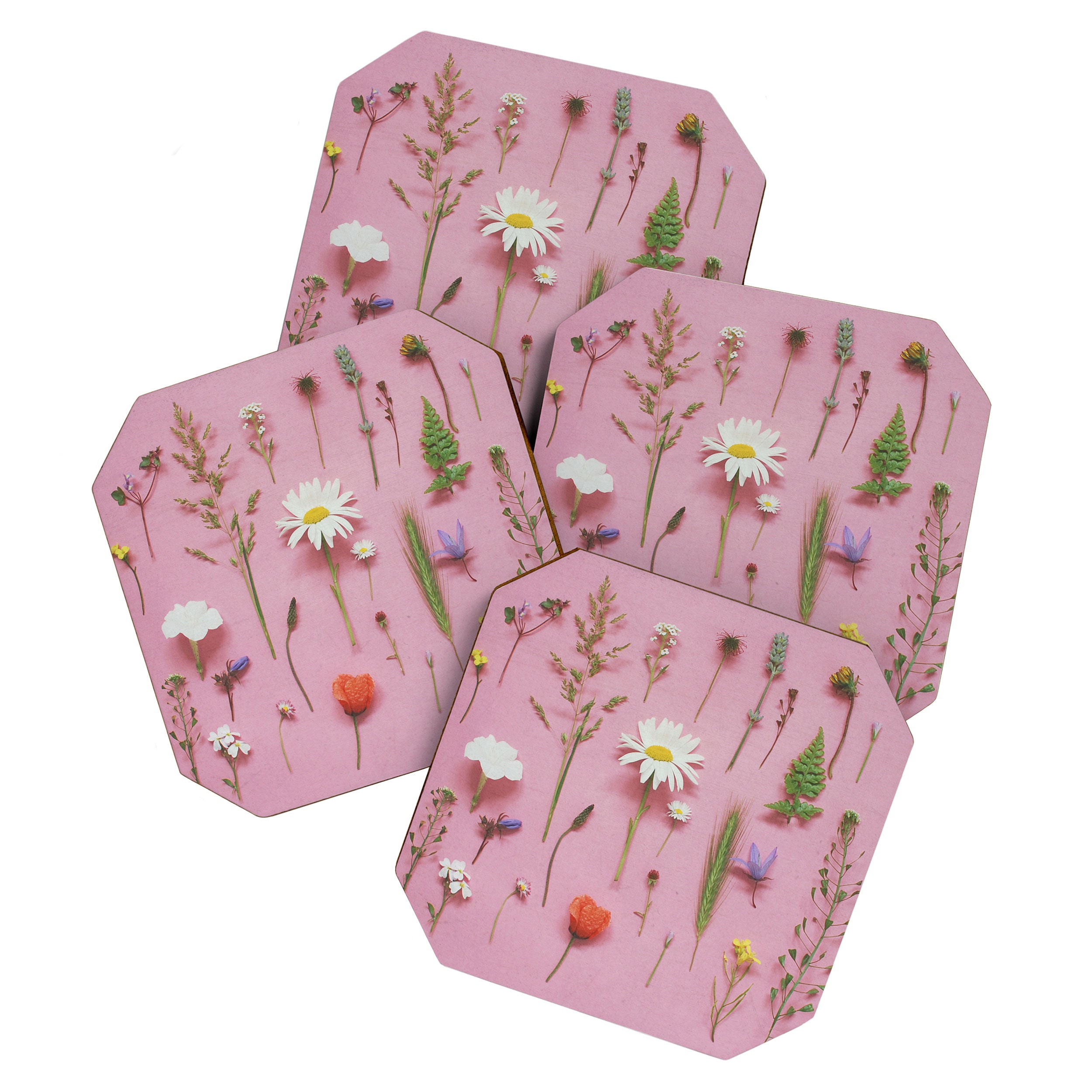 Wild Flowers Coaster Gallery Image 1